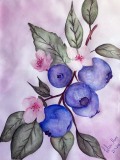Delia Marx 11 Jahre Aquarell.jpg